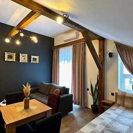 Aparthotel Vortex Soko Banja