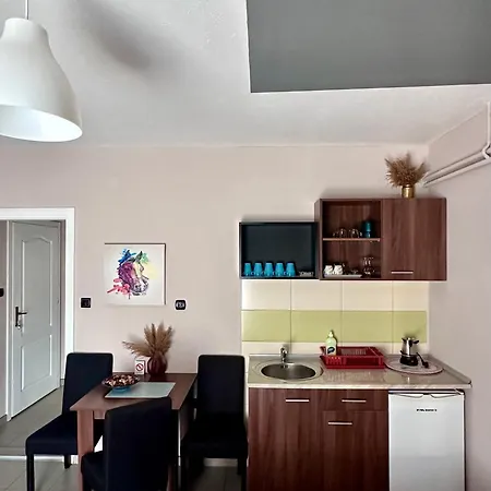 Smestaj Vortex Lejlighedshotel Sokobanja